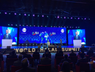 Новые возможности для развития инвестиционного сотрудничества открываются для Самарской области в ходе участия в VII «Всемирный саммит халяль»