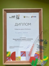 Практики Самарской области по поддержке самозанятых признаны лучшими в стране