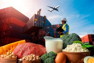 Как научиться торговать зарубеж и почему именно Самарская область – лучшая площадка для старта