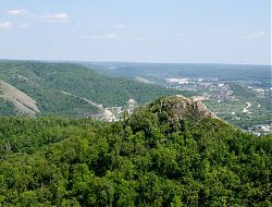 В лес на прогулку бесплатно
